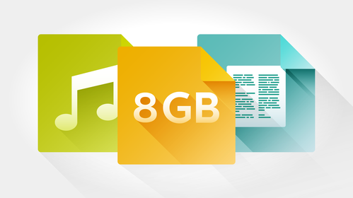 8 GB internal memory for up to 88 days of recording