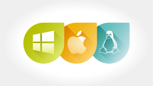 Plug and play in Windows, Mac OS and Linux