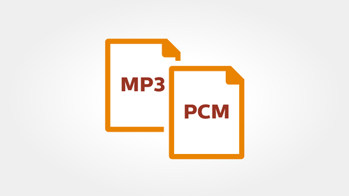 Stereo MP3 and PCM recording for clear playback and easy file sharing